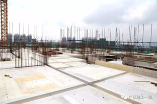 廣西建工一建來(lái)賓祥康苑項(xiàng)目質(zhì)量安全標(biāo)準(zhǔn)化施工圖集編制與應(yīng)用指南